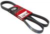 Ремень 6PK738 генератора 2110 инж Gates 