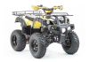 Квадроцикл ADVENTURE 250 