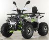 Квадроцикл 125 ARMIS серия 3 
