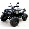Квадроцикл 250 AVENGER TUNGUS 