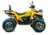 Квадроцикл 200 WILD TRACK X  