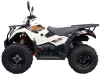 Квадроцикл 300 KAYO AU300 EFI